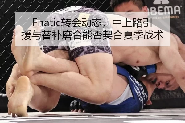 Fnatic转会动态，中上路引援与替补磨合能否契合夏季战术